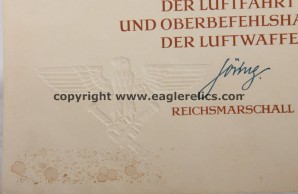 Deutsche Kreuz in Gold Formal Citation & Ehrenpokal winner *NEW PRICE** image 5