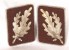 SA Gruppenführer Matched Pair Collar Tabs image 1