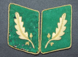 SA Standartenführer Collar Patches. Gruppe Pommern image 1