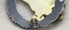Fallschirmschützenabzeichen – Paratroopers Badge image 7
