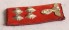 SA Kragenspiegel – SA Collar Tabs image 4