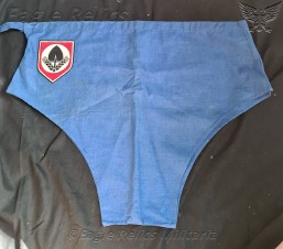 RAD Labour Corps swimming trunks image 1