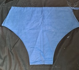 RAD Labour Corps swimming trunks image 2