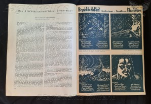 Frauenwarte Magazine image 5