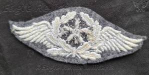 Luftwaffe sleeve trade patch image 2