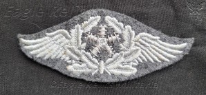 Luftwaffe sleeve trade patch image 1