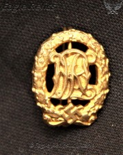 Gold DRL Miniature pin image 1