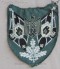 * Price Drop* Pioneer Standarte Bearer sleeve patch FREE SHIPPING image 1