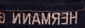 Luftwaffe cuff title “Hermann Göring” Division. image 8