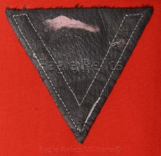 Panzer Gefreiter’s Rank Chevron image 2