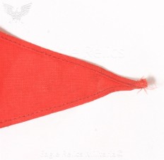 10×14 triangular NSDAP Pennant image 2