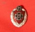NSKOV 25 year Honorary-membership lapel-pin image 1