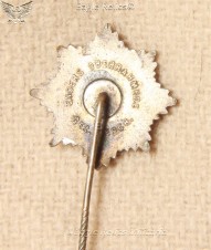 RLB Stick pin image 3
