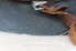 M35 Luftwaffe Double Decal Combat Helmet image 8