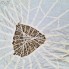 Luftwaffe Operational Silk Parachute image 2